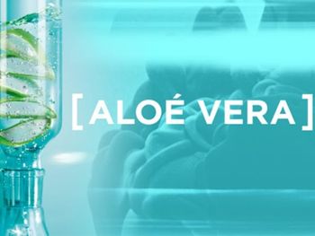 aloe veraa