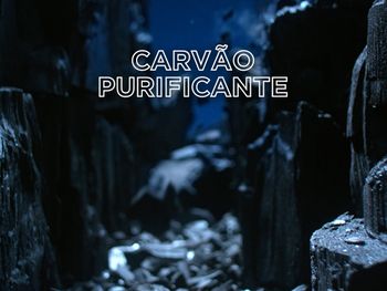 5 BANNER INGREDIENTE DETALLE CARVO V2