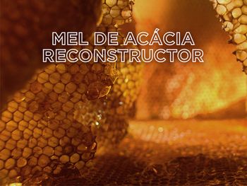 5 BANNER INGREDIENTE DETALLE MEL V2