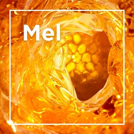Textura e cor do ingrediente mel