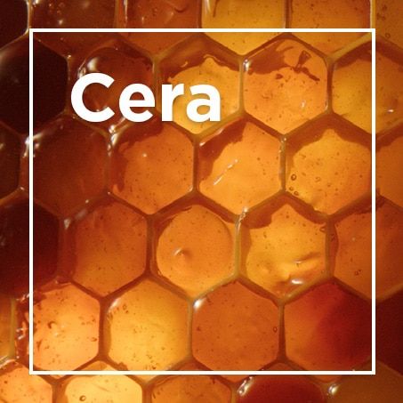 Textura e cor do ingrediente cera de abelhas