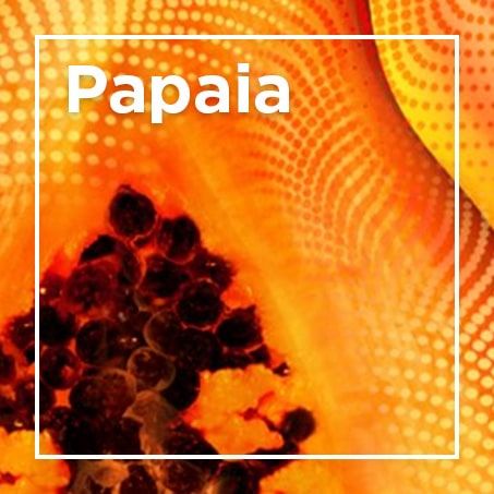 Papaia