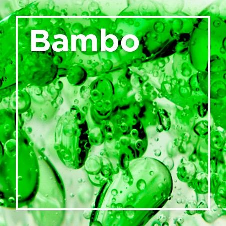 Bambo