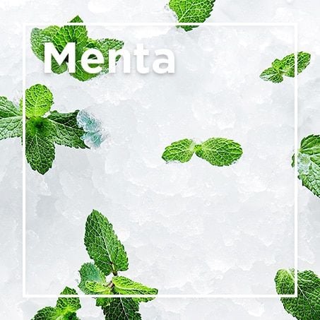 Menta