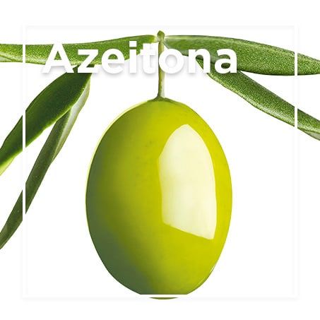 Azeitona