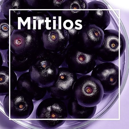 Mirtilos