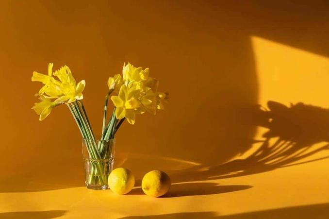 VITAMINA C 678