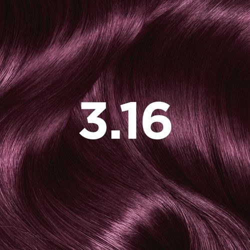 Tinta de cabelo Cor Violino Color Sensation 3.16 | Garnier
