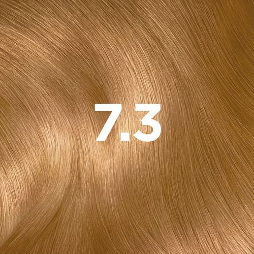 DMI GARNIER COLORSENSATION HAIRSWATCH 7 3 ECOM INTL 230901   copia