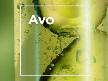 Avocado