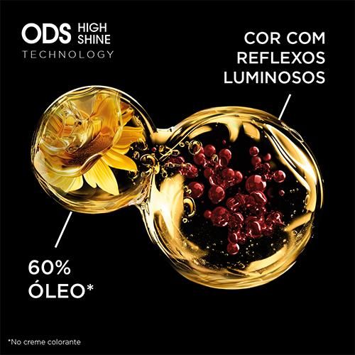Olia 2025