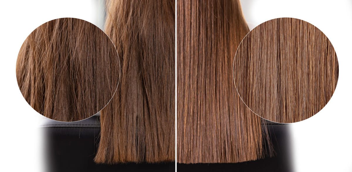 cabelo opaco