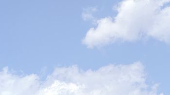 Ultra suave Shampoo Sólido vídeo