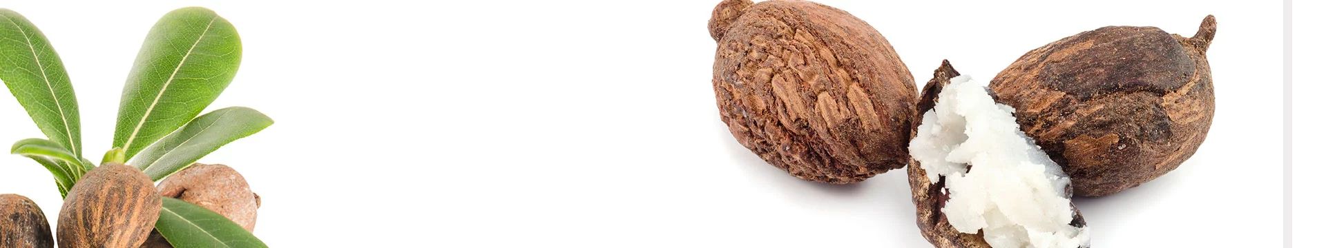 nutrisse óleo de shia