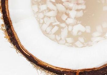 garnier needs modulo 1