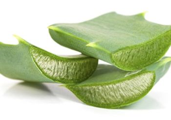 garnier needs modulo 2