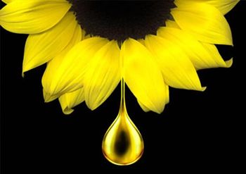 olia o poder do óleo