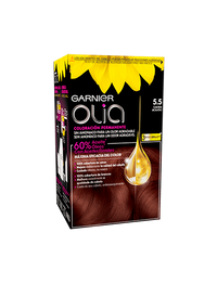 col-olia2019-5_5-bigger